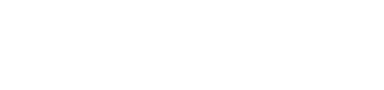 P-Wave